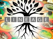 Lineage Preview