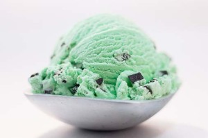 Mint Chocolate chip Ice Cream