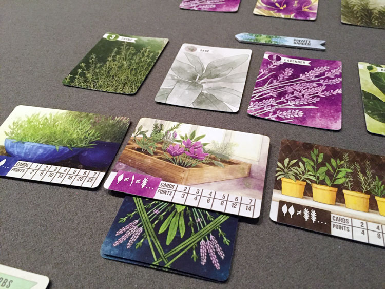 Herbaceous Game Experience