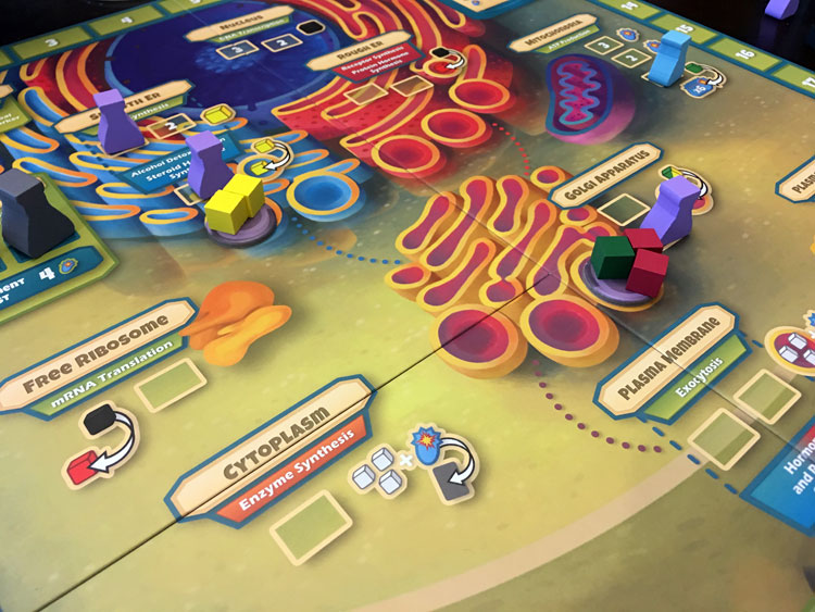 Cytosis: A Cell Biology Game 2nd Ed. (Review by RJ Garrison)