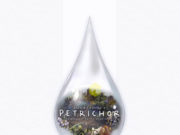 Petrichor Review Petrichor