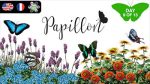 Papillion