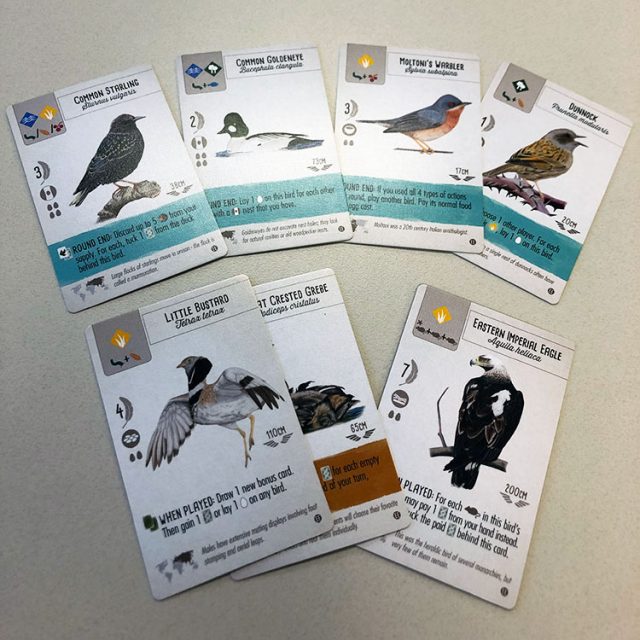 Wingspan European Expansion Review Board Game Quest