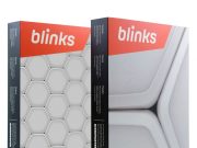 Blinks Review Blinks