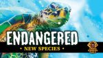 Endangered