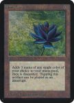 Black Lotus