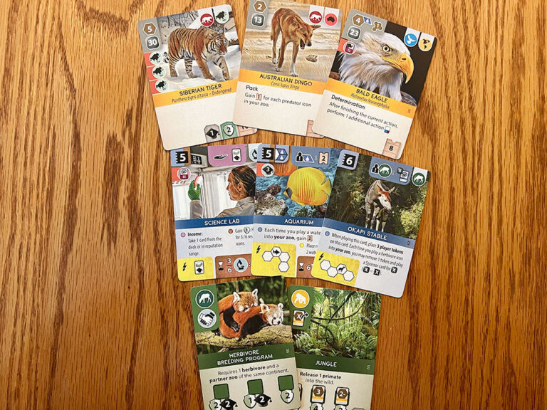 Ark Nova Review Board Game Quest