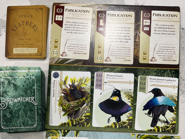 Birdwatcher Review - Board Game Quest