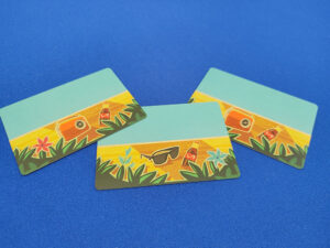 Longboard Cards