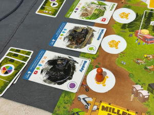 Miller Zoo Gameplay