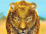 Wild: Serengeti Review Wild Serengeti