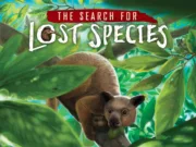 The Search for Lost Species