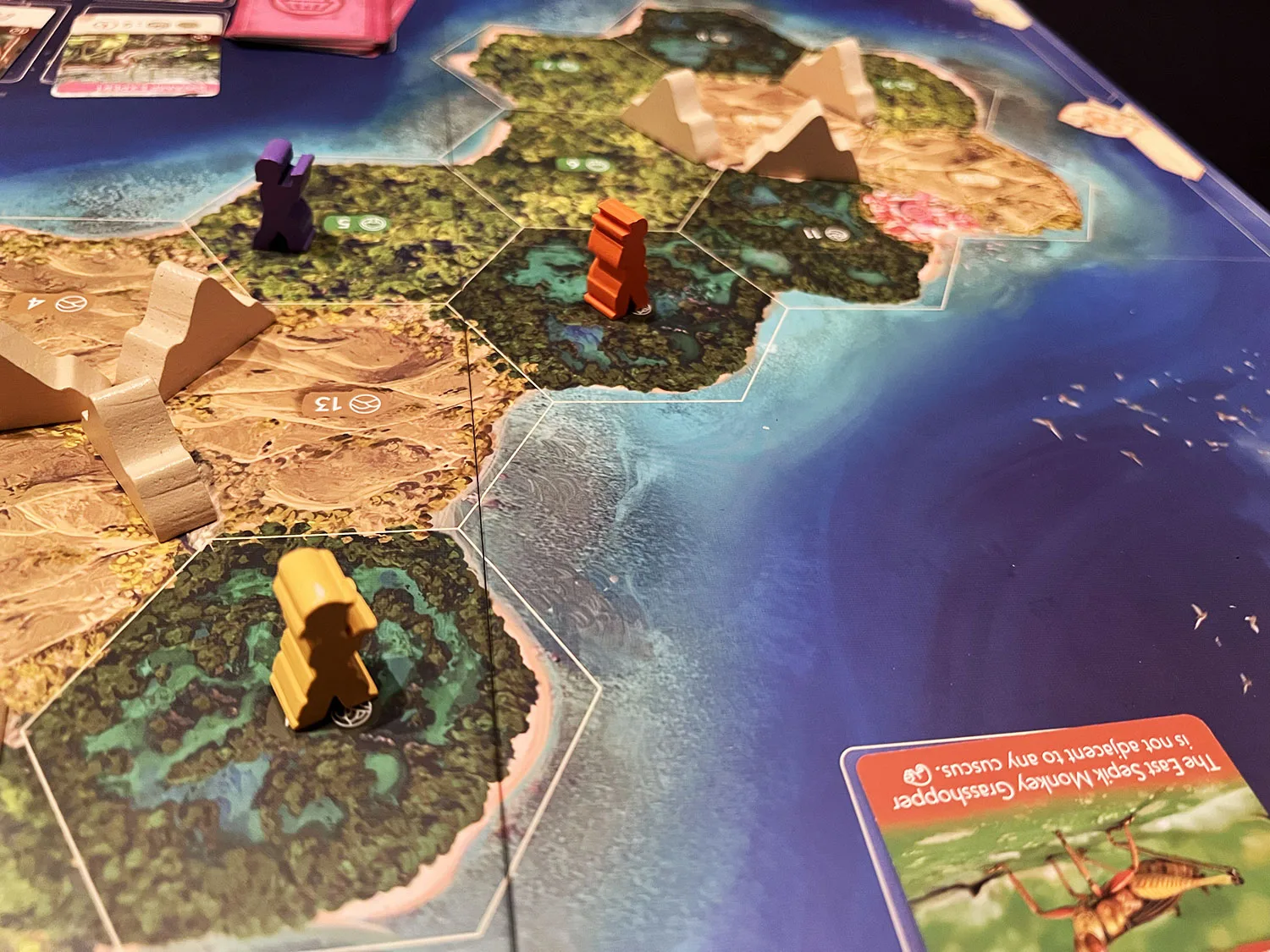 The Search for Lost Species Gameplay