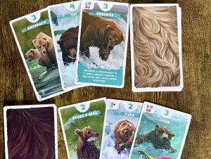 Katmai Cards