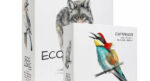 Eco logic