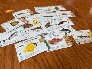 Finspan Sharks & Reefs Cards