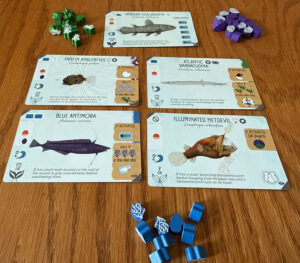 Finspan Sharks & Reefs Cards