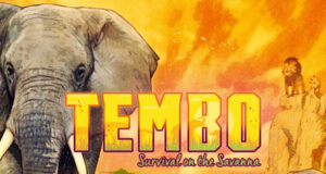 Tembo