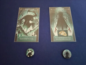 Moytura Cards