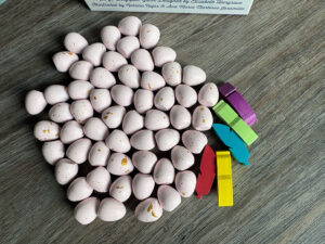 Wingspan Pocket Eggs