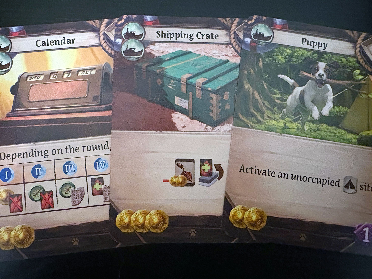 The Lost Ruins of Arnak: Surprise Shipment Cards