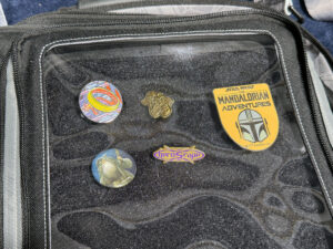 Convention Bag of Holding Pins