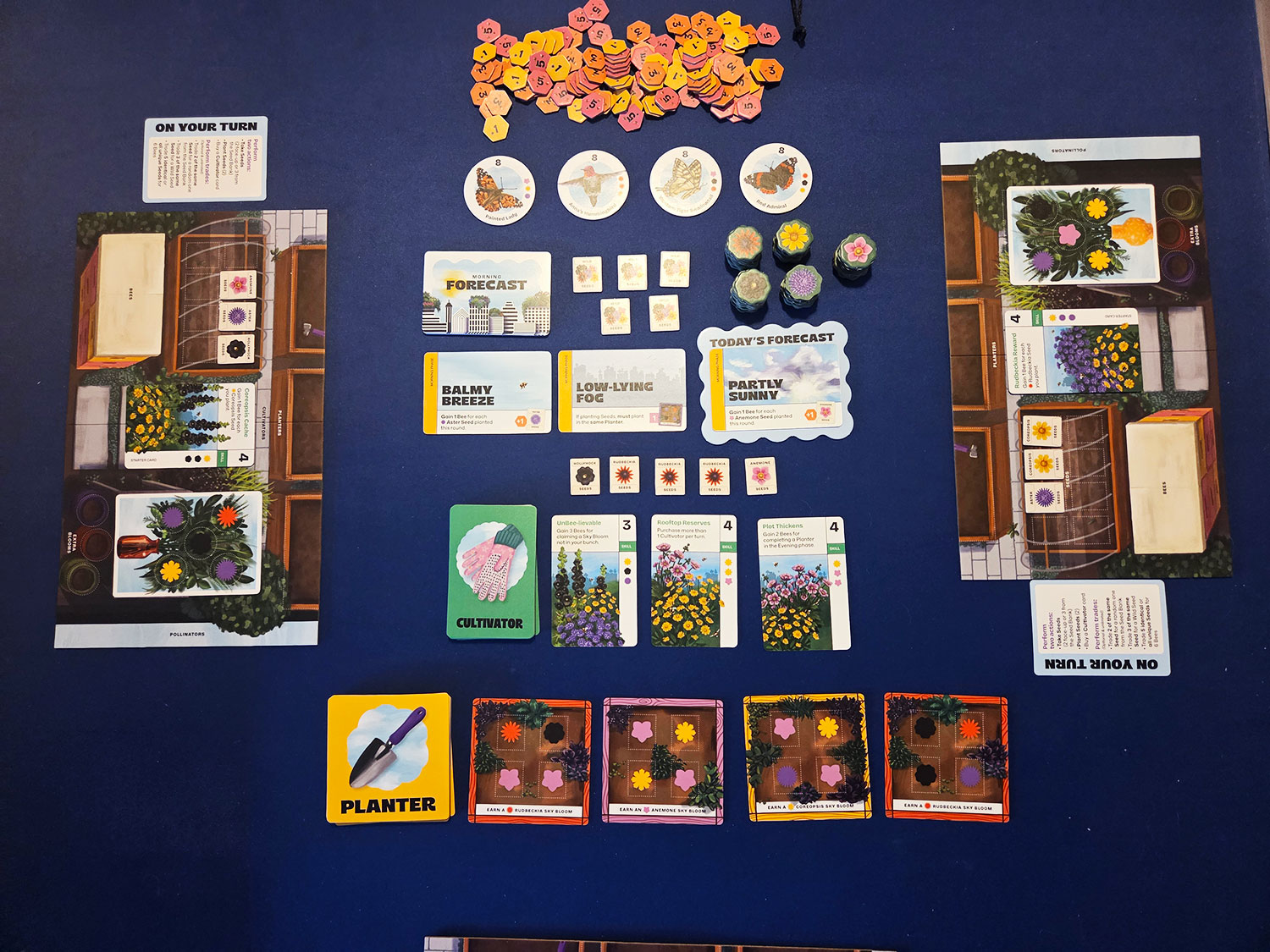 Sky Bloom Gameplay